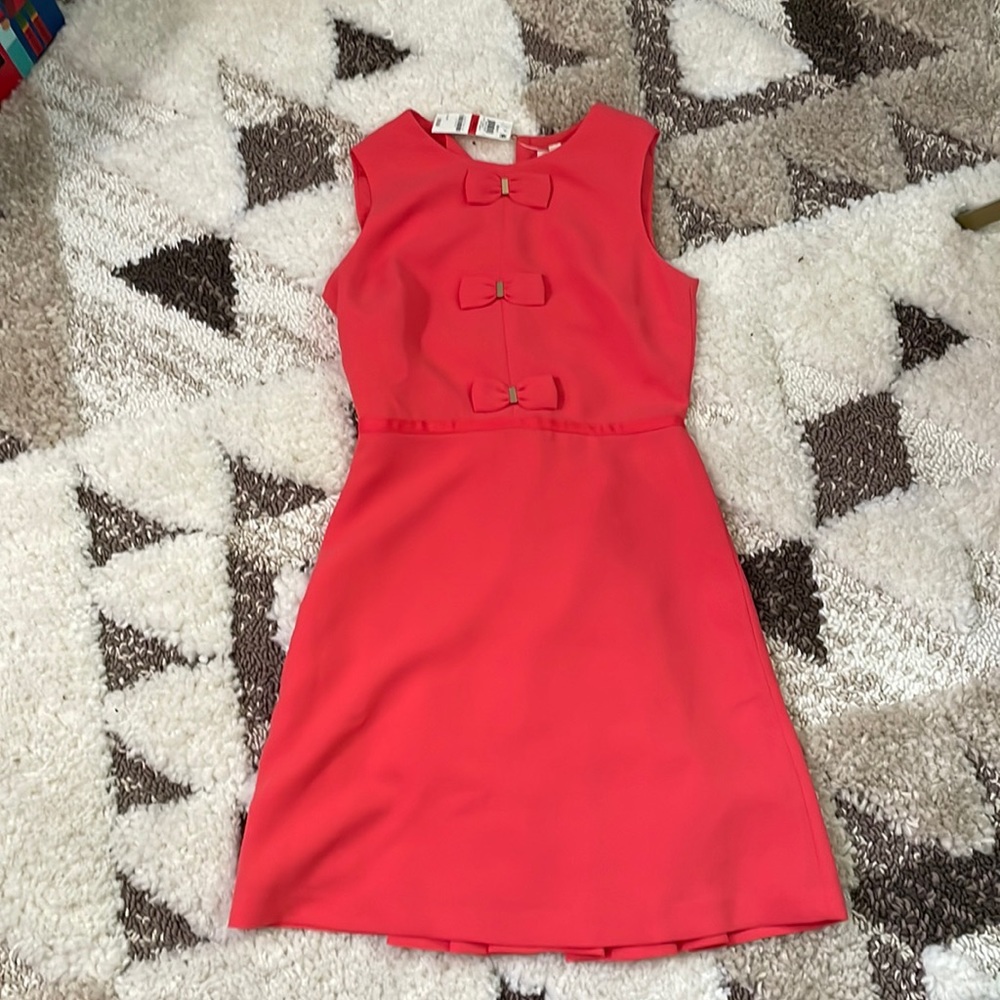 1960s Style Maison Jules Dress